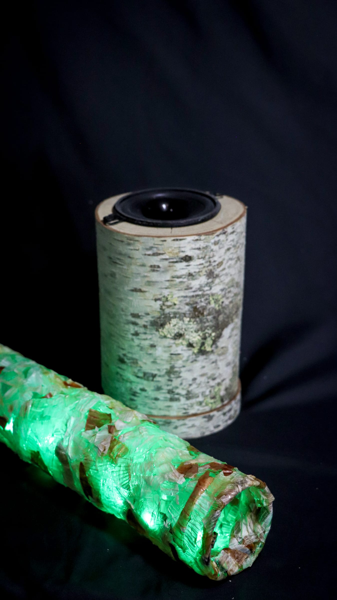 Biomaterials — image 4