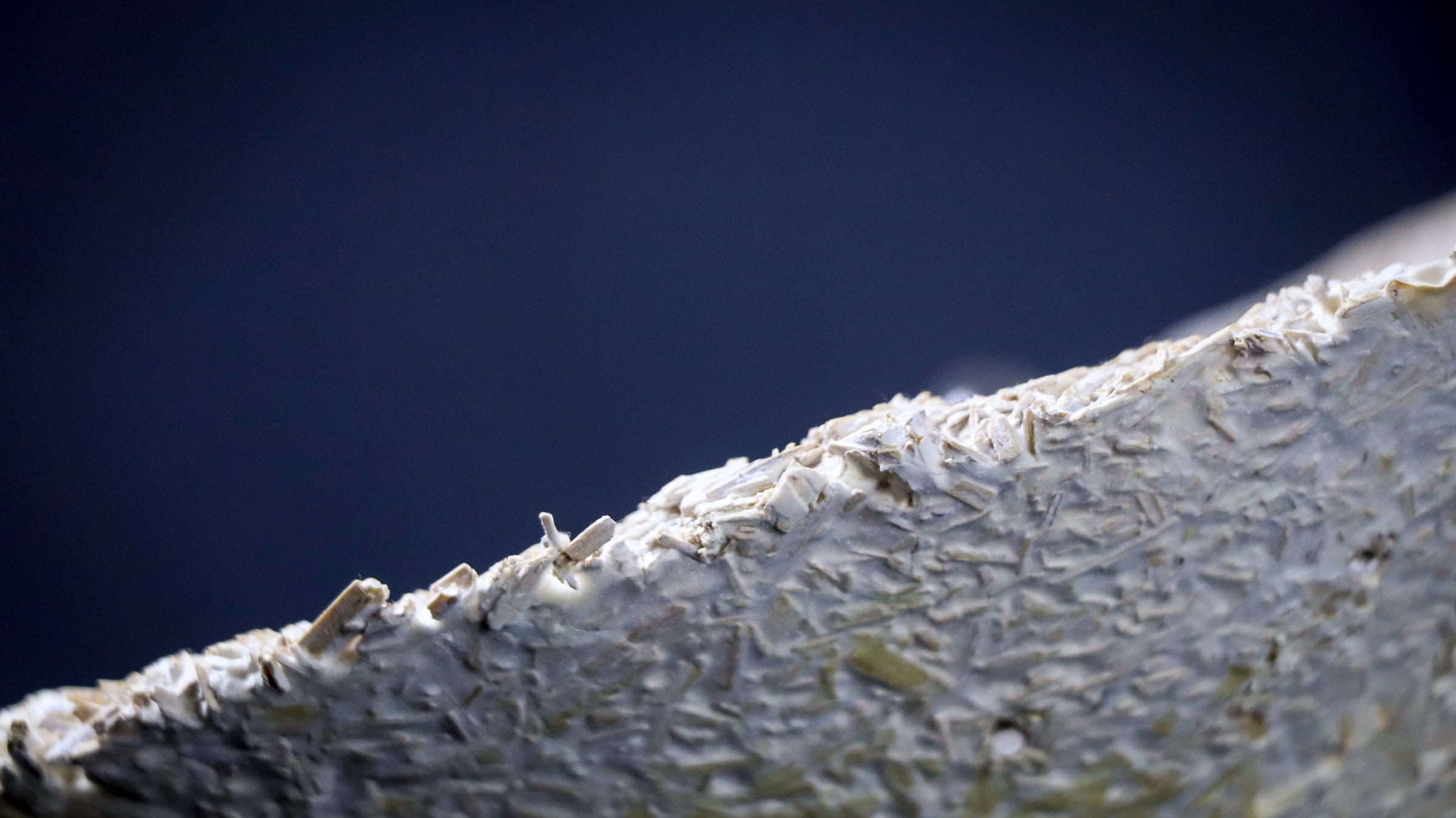 Biomaterials — image 6