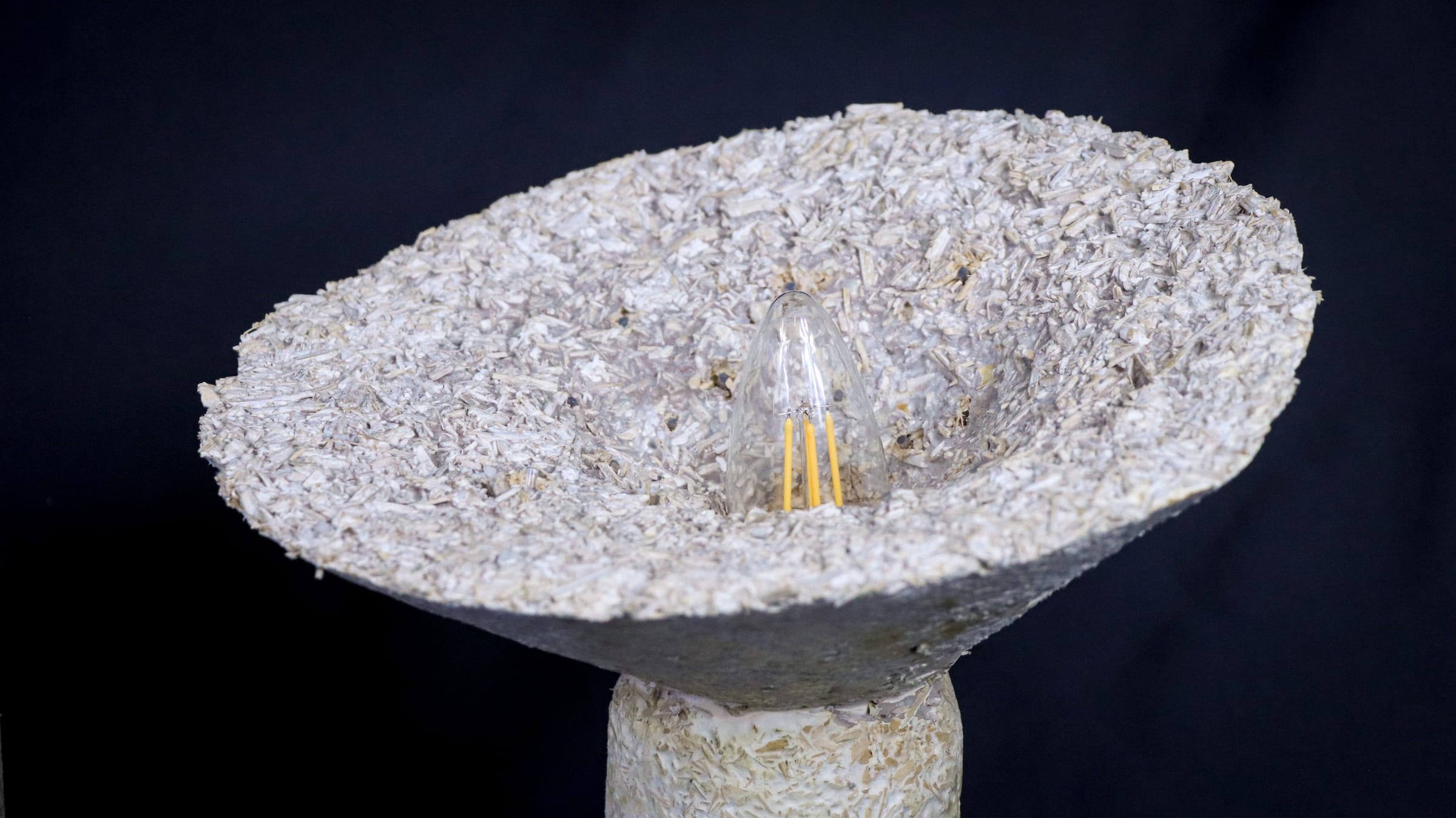 Biomaterials — image 7