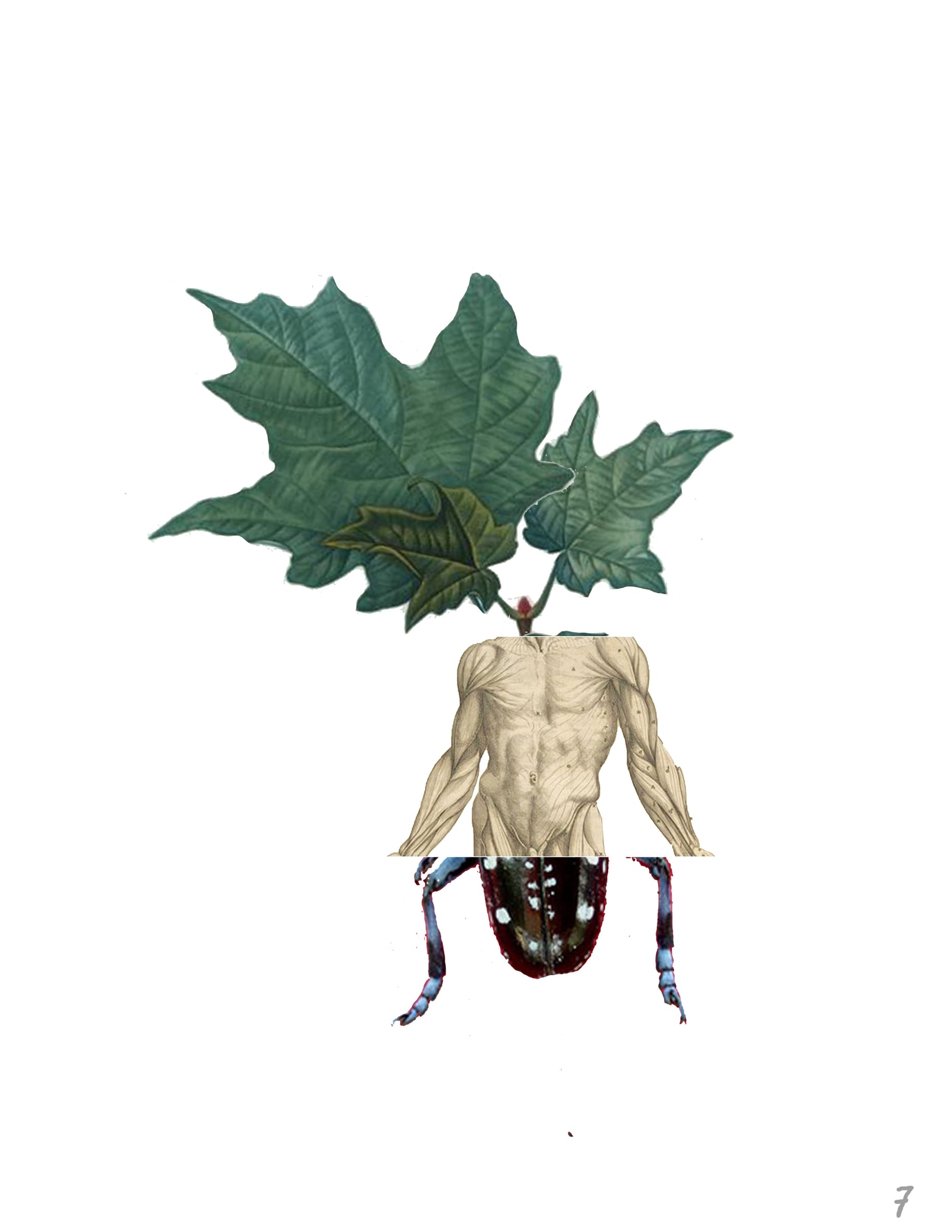 Mutualist Bestiary — image 5