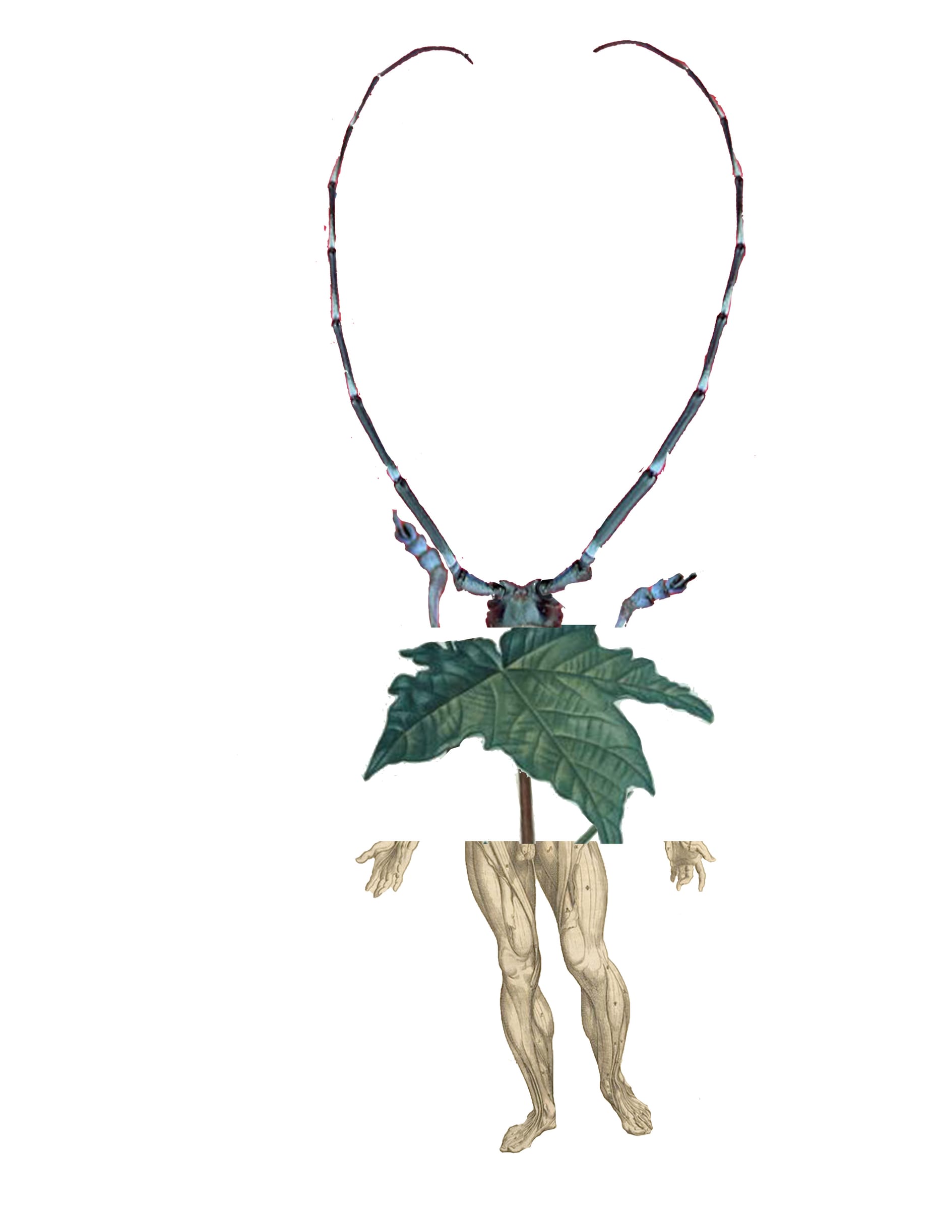 Mutualist Bestiary — image 6