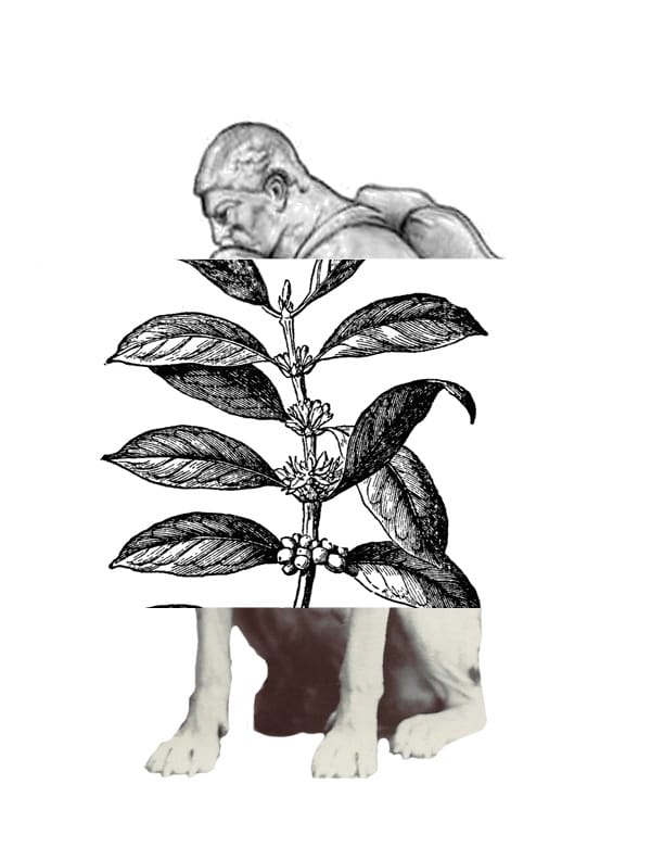Mutualist Bestiary — image 7
