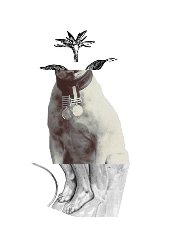 Mutualist Bestiary — image 8