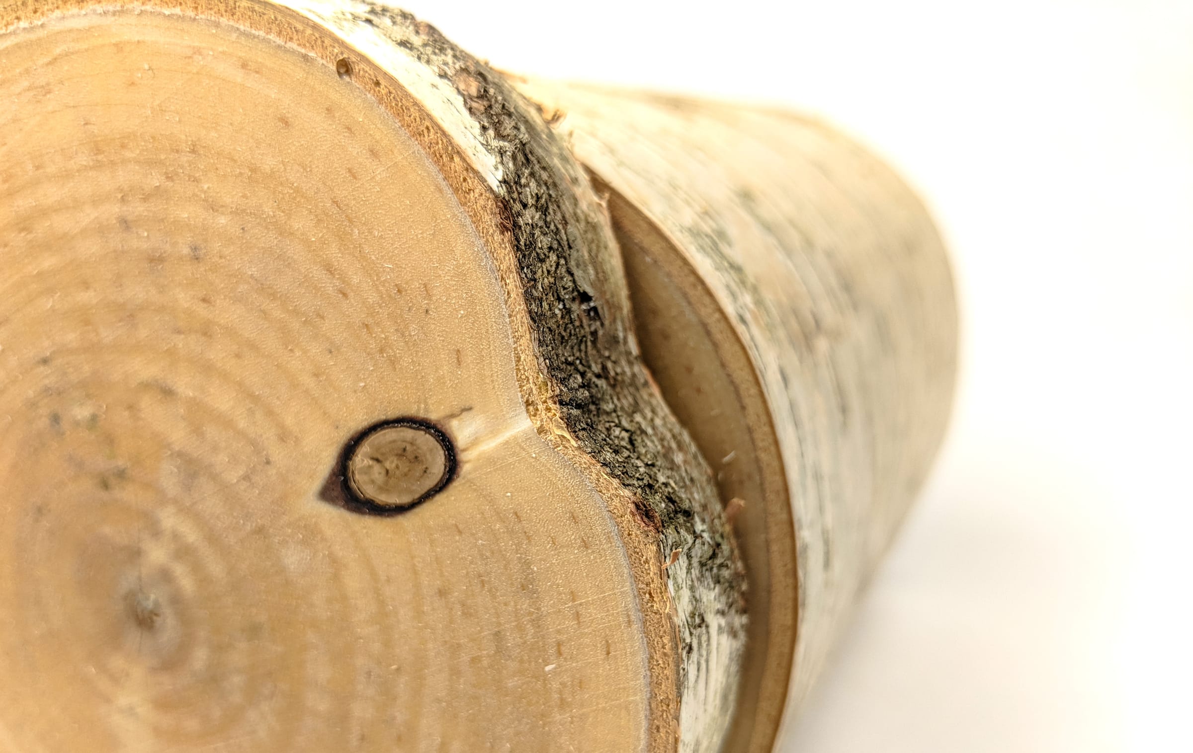 WoodSpeaker — image 4